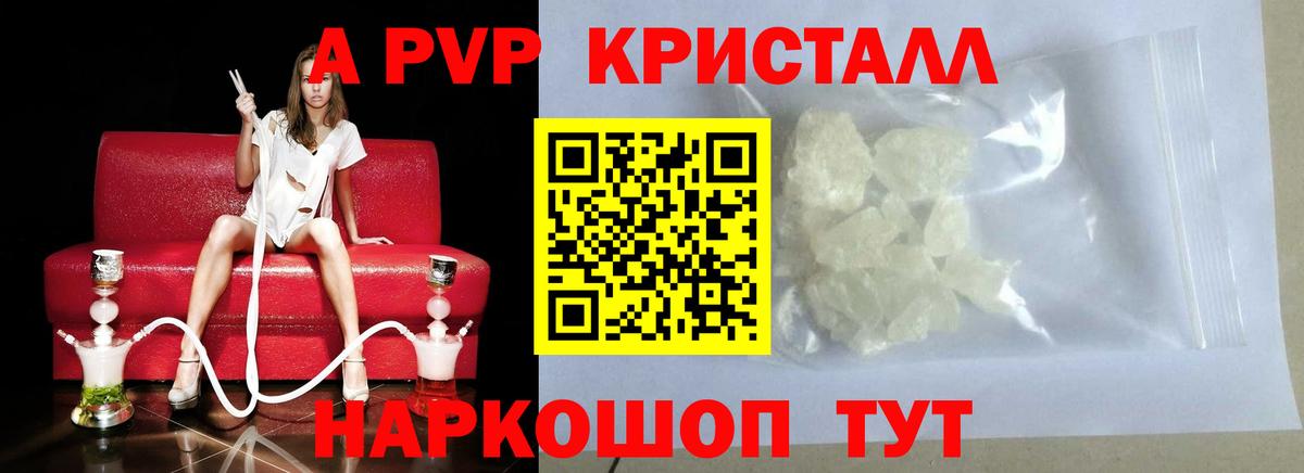 APVP СК КРИС Малгобек
