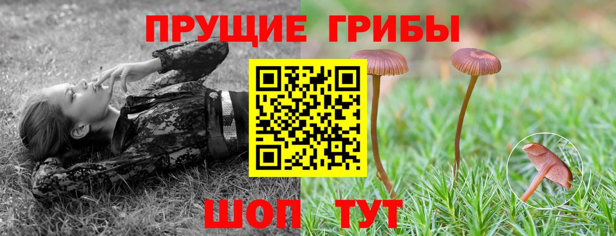 Галлюциногенные грибы Psilocybine cubensis  цена   Малгобек  Вход с VPN 
